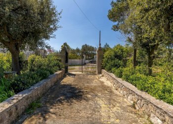 Giardino - Villa Via Ostuni
 
269, Martina Franca - foto 22