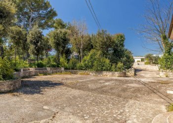 Giardino - Villa Via Ostuni
 
269, Martina Franca - foto 24
