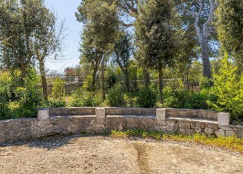 Giardino - Villa Via Ostuni
 
269, Martina Franca - foto 25