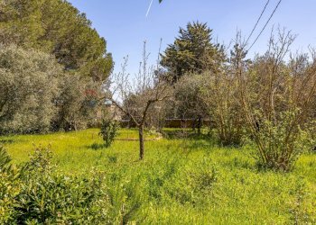 Giardino - Villa Via Ostuni
 
269, Martina Franca - foto 27