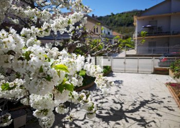 Foto 20 - Quadrilocale Via Parini
 
16, Giulianova - foto 20