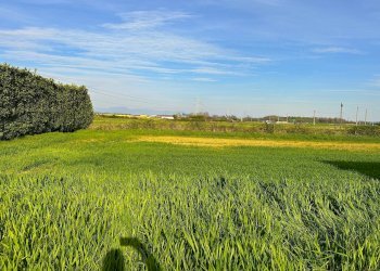 Foto 1 - Farm Via Aldo Moro, Bottanuco - photo 1