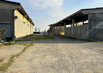 Foto 19 - Farm Via Aldo Moro, Bottanuco - photo 19