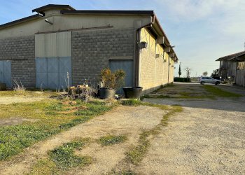 Foto 20 - Farm Via Aldo Moro, Bottanuco - photo 20