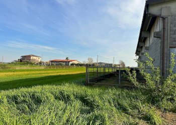 Foto 21 - Farm Via Aldo Moro, Bottanuco - photo 21