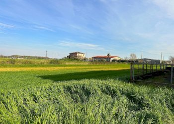 Foto 22 - Farm Via Aldo Moro, Bottanuco - photo 22