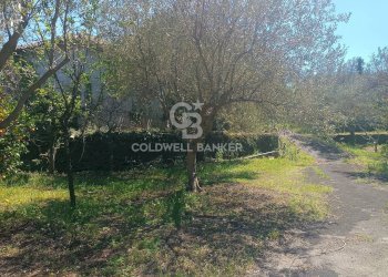 Foto 15 - Casa indipendente via cent' anni
 
21, Santa Venerina - foto 15