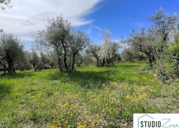 Foto 3 - Casa indipendente rimembranze
 
22, Amelia - foto 3