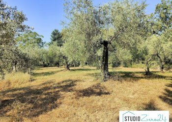 Foto 17 - Casa indipendente rimembranze
 
22, Amelia - foto 17