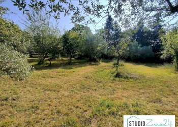 Foto 18 - Casa indipendente rimembranze
 
22, Amelia - foto 18