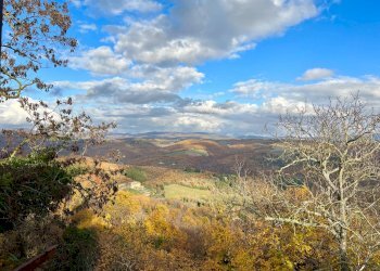 Foto 22 - Quadrilocale via case sparse palagio snc, Radda in Chianti - foto 22