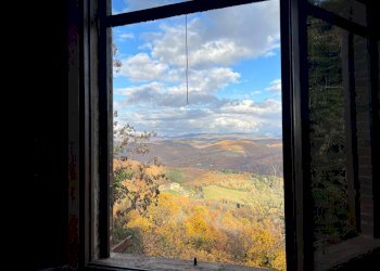 Foto 23 - Quadrilocale via case sparse palagio snc, Radda in Chianti - foto 23