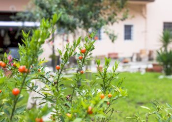 Foto 75 - Villa Via Del Palazzo Dei Diavoli
 
67, Firenze - foto 75