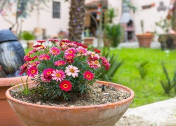 Foto 76 - Villa Via Del Palazzo Dei Diavoli
 
67, Firenze - foto 76