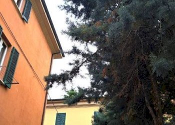 Facciata - Warehouse via Carlo Cignani, Bologna (neighborhood Bolognina) - photo 5