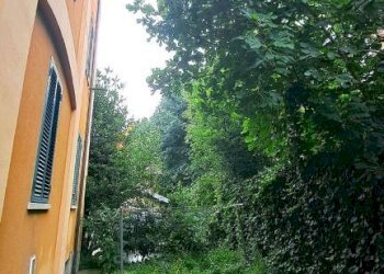 Giardino - Warehouse via Carlo Cignani, Bologna (neighborhood Bolognina) - photo 6