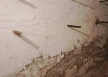 Cantina - Warehouse via Carlo Cignani, Bologna (neighborhood Bolognina) - photo 17