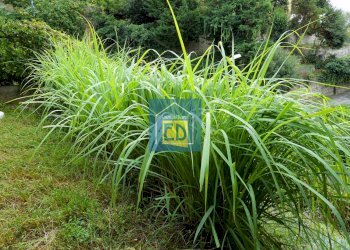 Foto 45 - Appartamento Via Rusca
 
53, Savona - foto 45