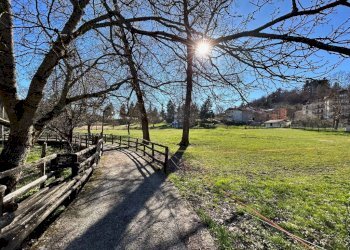 Terreno - Trilocale strada Provinciale di Rovegno, Rovegno - foto 20