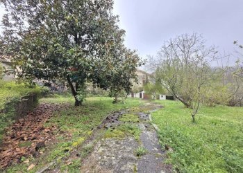 Giardino - Villa via Brunetta
 
9, Dipignano - foto 14