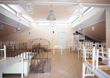 Foto 18 - Attività Commerciale Via Trincea delle Frasche
 
65, Fiumicino - foto 18