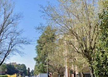 Zona - Bilocale via Giuseppe Bentivogli, Castenaso - foto 9