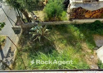 Giardino - Villa Roncitelli, AN, Senigallia - foto 25