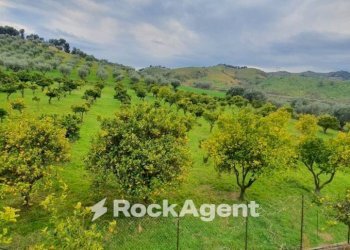 Vista - Stabile - Palazzo strada Statale 107 Silana Crotonese, Rende - foto 7