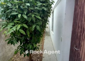 Giardino - Appartamento via Guglielmo Marconi, 18, Trecastelli - foto 30