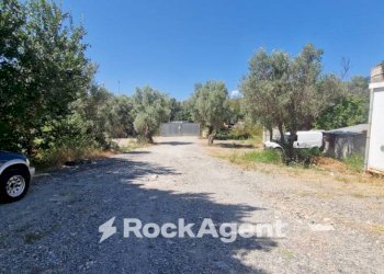 Terreno - Building land via Conti di Loritello, Catanzaro - photo 3