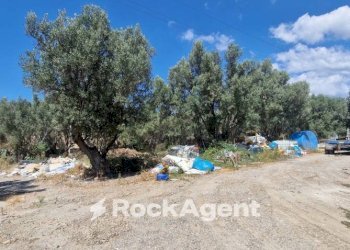 Terreno - Building land via Conti di Loritello, Catanzaro - photo 13