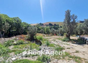 Terreno - Building land via Conti di Loritello, Catanzaro - photo 23