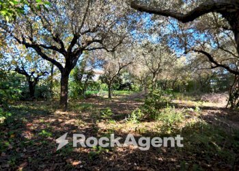 Terreno - Building land via Genio Civile, Aprilia - photo 7