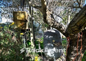 Terreno - Building land via Genio Civile, Aprilia - photo 29