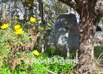 Giardino - Building land via Genio Civile, Aprilia - photo 34