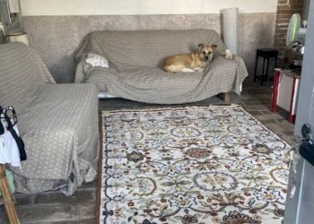 Veranda - Rustico via Colonne, Travacò Siccomario - foto 25