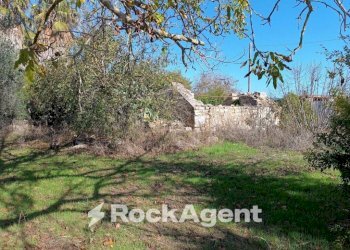 Terreno - Villa contrada Sant' Anna, Casarano - foto 19