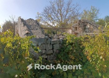 Terreno - Villa contrada Sant' Anna, Casarano - foto 25