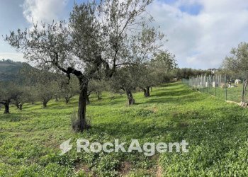 Terreno - Terreno edificabile via Boccaccio, 4, Moscufo - foto 7