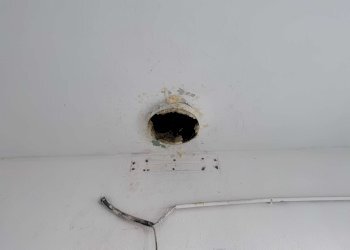 canna fumaria - Commercial Premises via Zanardi, Bologna (neighborhood Lame) - photo 10