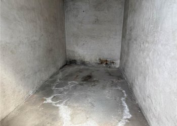 Box Pinerolo - foto 2