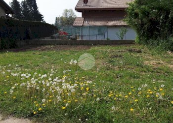 Terreno edificabile Edificabile Via Dei Caduti, Givoletto - foto 9