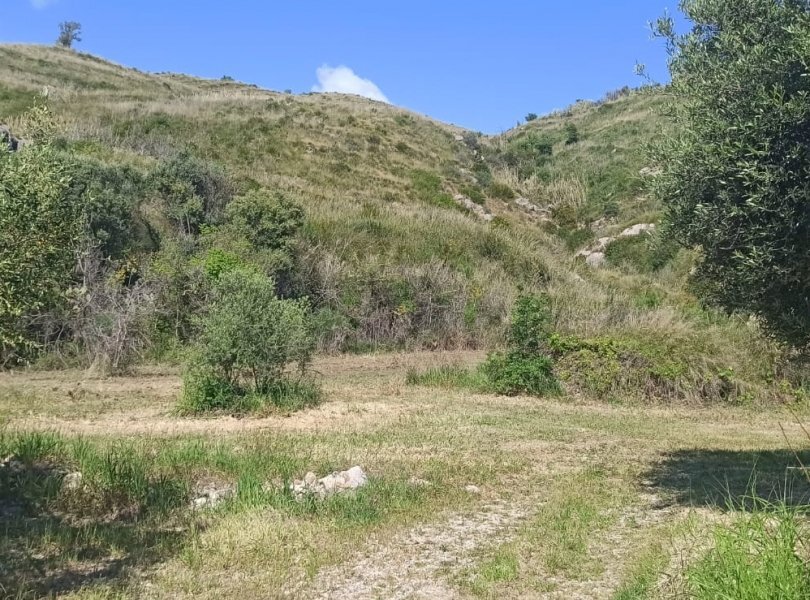 Terreno agricolo Mondragone - foto 3