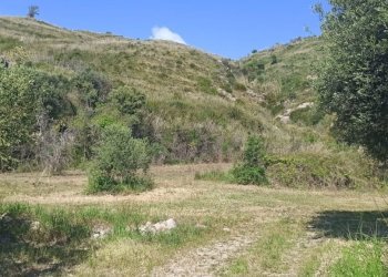 Terreno agricolo Mondragone - foto 3