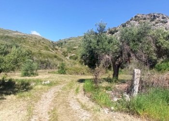 Terreno agricolo Mondragone - foto 5