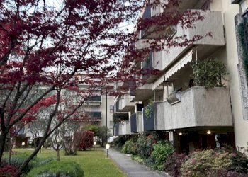 5f3f1a1b-b872-40e7-8060-31ff027e5282.jpeg - Trilocale Boltiere - foto 13