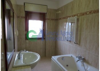 IMG_3864.jpg - Ufficio VIA ANDREA MILLEVOI, Roma (zona Cecchignola) - foto 5