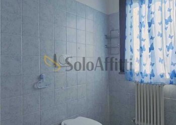 bagno con box doccia - Bilocale Viale G. Matteotti s.n.c., Forlimpopoli - foto 16