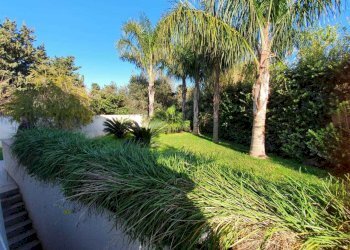 WhatsApp Image 2021-02-26 at 11.01.06.jpeg - Villa Viale dell'Olimpo 49, Palermo - foto 7