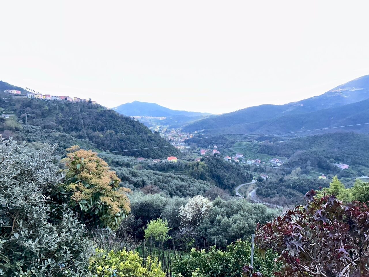 Vista.jpeg - Appartamento Sestri Levante - foto 1